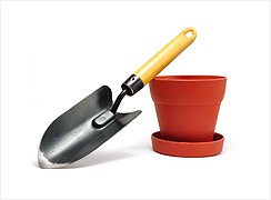 shop-item-3